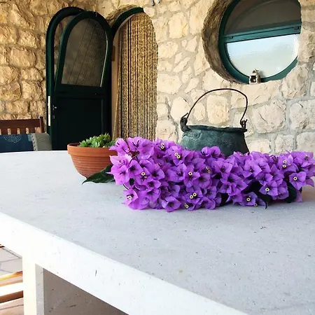 Jugo * Korcula Town